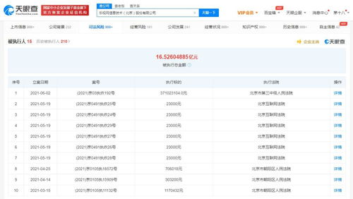 互聯網文化活動的興起、特點與未來展望